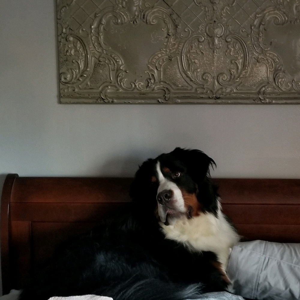 Meet your Posher, Debbie